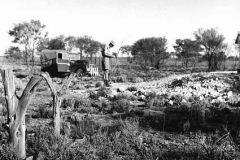 Tietkens-Well-Camp-in-Nov1953
