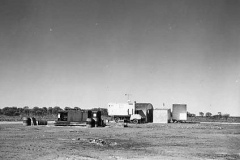 Timms-kittens-Camp-43mile