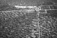 Village-area-Aerial-1955