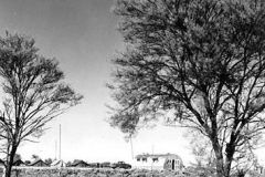 43Mile-camp-Tims-1955