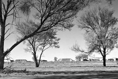 54-Roadside-camp-at-43mile