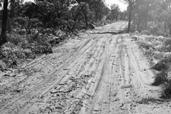 54-Sheoak-ridge-The-Village