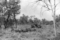 54-Sheoaks-nr-village-site