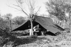 54-Survey-camp-Temp