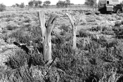54-The-Teitkens-Well-Site