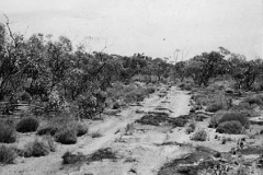 Dec53-Bush-Track