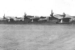 Emu-53_4-of-the-6-Mustangs-at-claypan