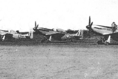 Emu_53_4_of_the_6_Mustangs_at_claypan