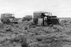 Fuel-stop-Rece-tietkens-plain-1953