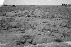 Fwd-Test-Area-55