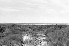 Jan-54-Yearle-Lakes-Temp-rd