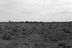 July53-Tietkens-Well-Area