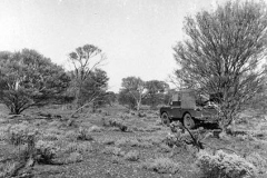 Oct53-Tietkens-plains-area