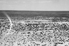 Oldea-Aerial-in-the-1950s