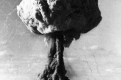One_Tree_3