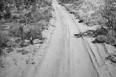 Sand-hill-Roadways
