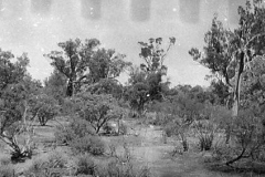 Village-site-Sheoak-ridge