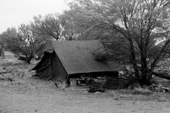 nov-53-Temp-location-camp
