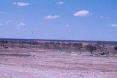 64-Emu-claypan-Old-Camp-sites