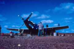 Emu-47-A68-1-Original-spot-