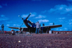 Emu-Field-Mustangs-A68-1-Trying-to-run-1966