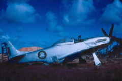 Emu-Target-Respone-P-51-1966