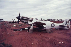 Emu-Target-Response-AC-1950s