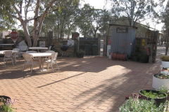 Hospital-Beer-Garden-BBQ