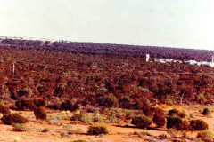 Landing-Decontam-C-Village-64