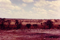 Old-Camp-Site-at-Emu-64