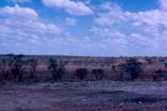 Original-Campsite-Emu-67