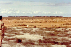 Trans-contienental-Line-Nullarbor