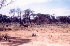 Yalata-Mission-trip-1963-Frm-Maralinga-Locals