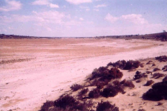 Yalata-trip-Lake-Ifould-Nularbor-plain-1963