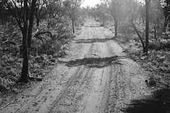 Apr54-Sheoak-ridge-Rd