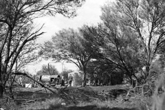 Bore-3A-Maralinga