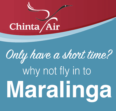 Chinta Air Flights ad